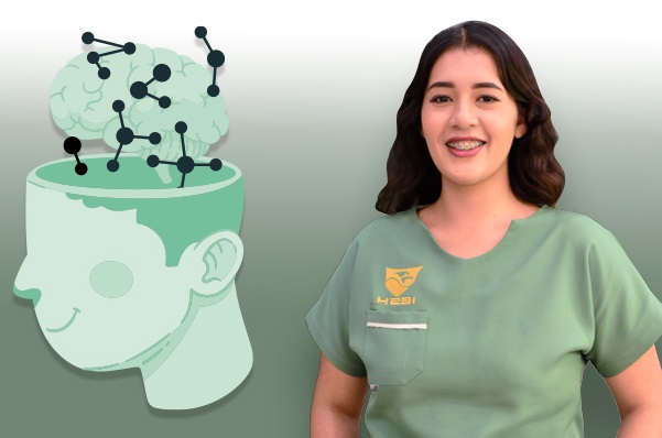 Programas para adultos